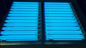 Фото работающих УФ-ламп в бактерицидной УФ-панели Vent Bact VB 900 (состоит из двух одинаковых частей, в каждой по 12 УФ-ламп мощностью 36 Вт)